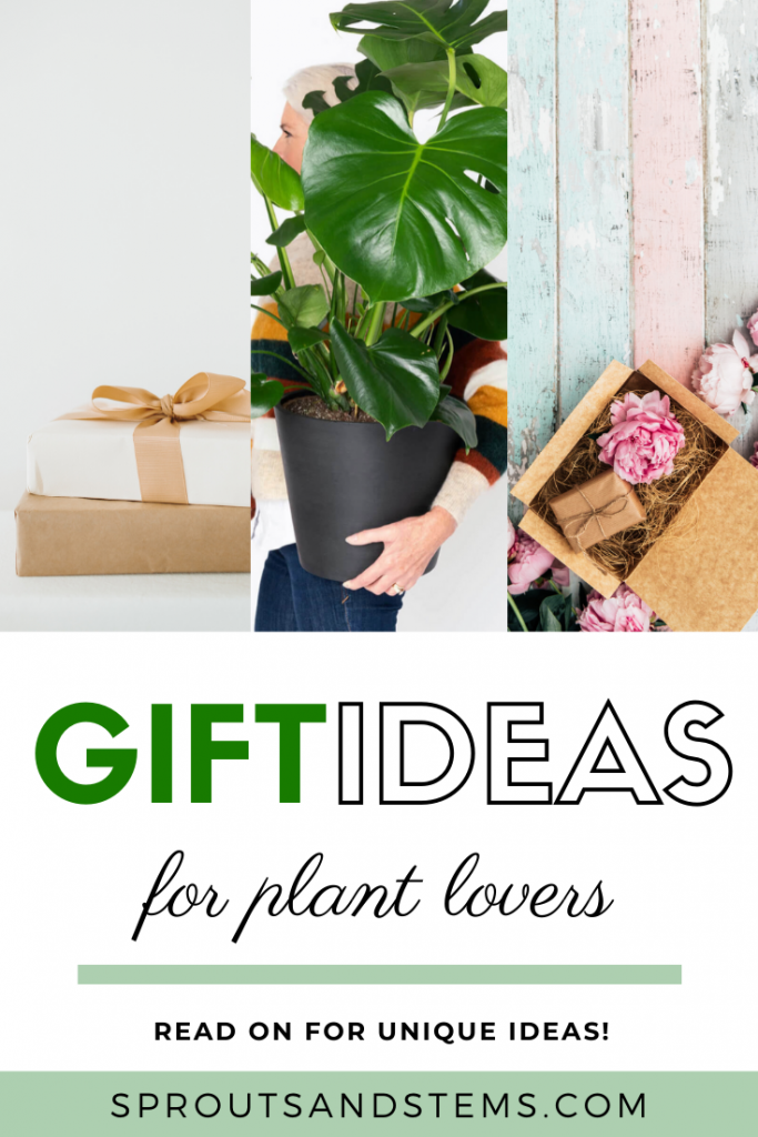 Unique Gift Ideas for Every Type of Houseplant Lover