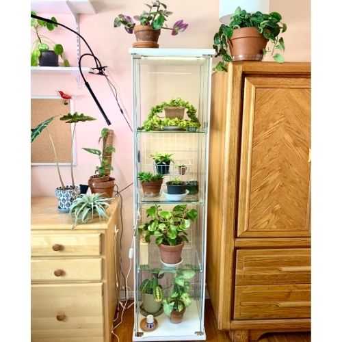 Ikea greenhouse cabinet