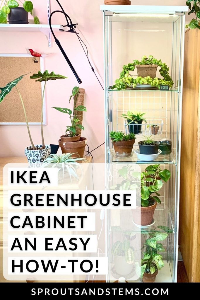 Ikea Greenhouse Cabinet - An Easy How-To pinterest pin