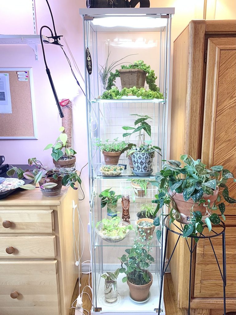 Ikea greenhouse cabinet full shot with plants