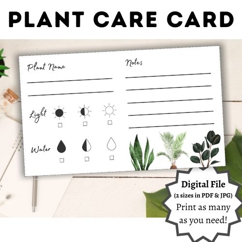 plant care card