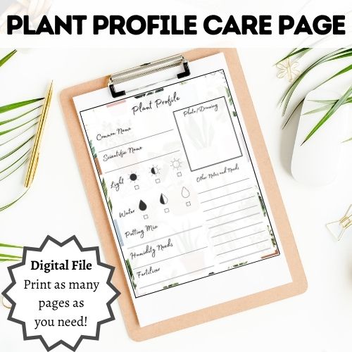 plant care printable