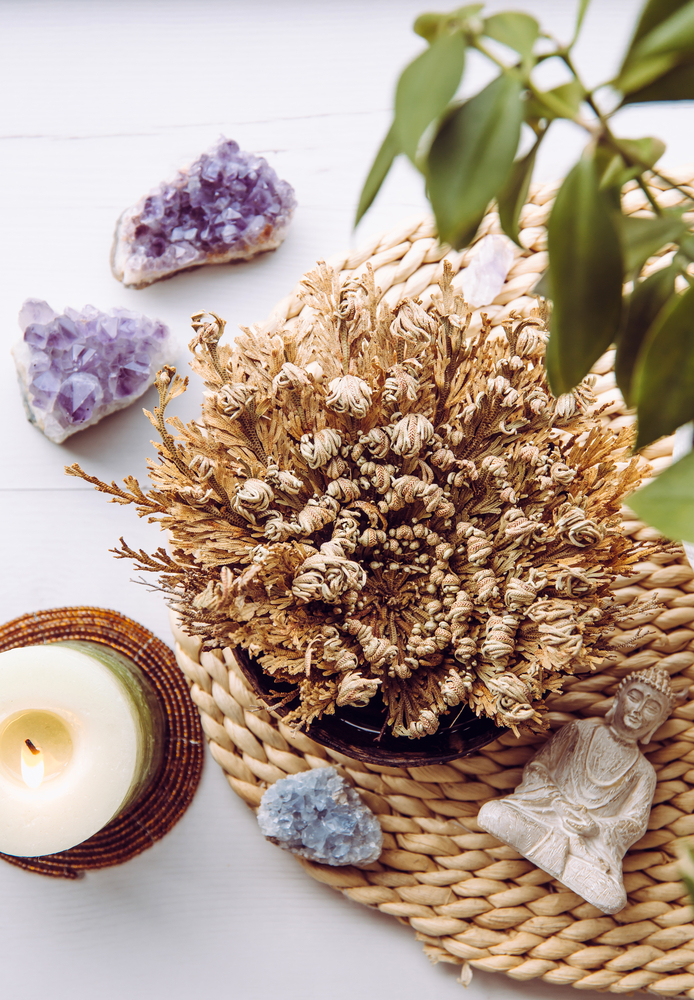 Resurrection Plant on a table with crystals and a candle